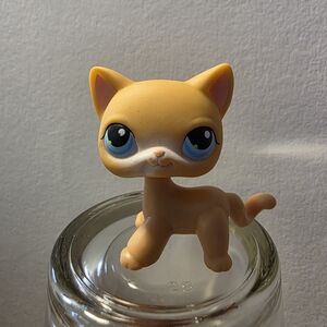 ✨Littlest Pet Shop #71 Orange Shorthair Cat Authentic Kitty Figure LPS Blue Eyes